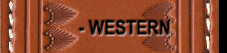 Western Holsters